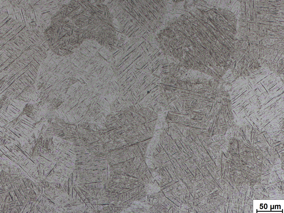 Titanium alloy microstructure at 50 µm scale